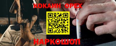 мет Кингисепп