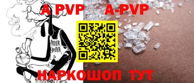 мет Кингисепп